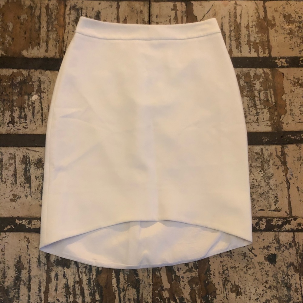 Express Skirt